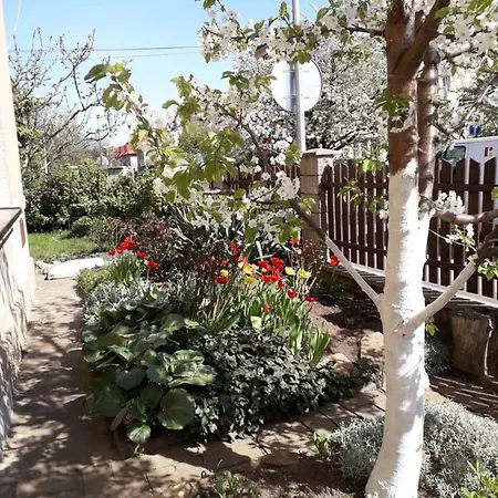 Apartament Dreamy Praga